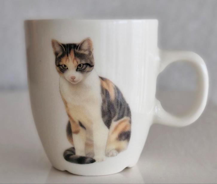 Senseo kopje Francien, Huis en Inrichting, Keuken | Servies, Zo goed als nieuw, Kop(pen) en/of Schotel(s), Overige stijlen, Ophalen of Verzenden