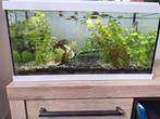 Mooi compleet aquarium (eheim), Dieren en Toebehoren, Ophalen of Verzenden, Zo goed als nieuw, Leeg aquarium