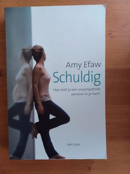 Schuldig - hoe sluit je een onsympathiek persoon in je hart, Boeken, Romans, Gelezen, Amerika, Ophalen of Verzenden