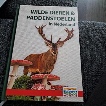 Nieuw wilde dieren & Paddenstoelen beschikbaar voor biedingen