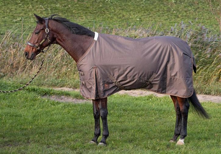 Harry’s horse outdoordeken Thor 200 gram 175 tm 205 nieuw, Dieren en Toebehoren, Paarden en Pony's | Dekens en Dekjes, Nieuw, Deken