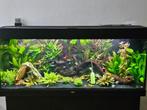 Te koop aquarium Juwel Rio 240 l, Dieren en Toebehoren, Vissen | Aquaria en Toebehoren, Ophalen, Zo goed als nieuw, Leeg aquarium
