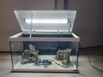 Aquatlantis Aquarium Advance LED 54L, Ophalen of Verzenden, Zo goed als nieuw
