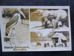 EMMEN Noorder dierenpark  3 luiks       F, Verzamelen, Ansichtkaarten | Nederland, Ophalen of Verzenden, 1940 tot 1960, Drenthe