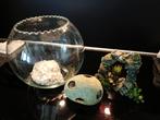 Viskom met toebehoren, Dieren en Toebehoren, Vissen | Aquaria en Toebehoren, Ophalen of Verzenden, Leeg aquarium