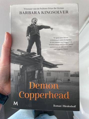 Demon Copperhead - Barbara Kingsolver beschikbaar voor biedingen