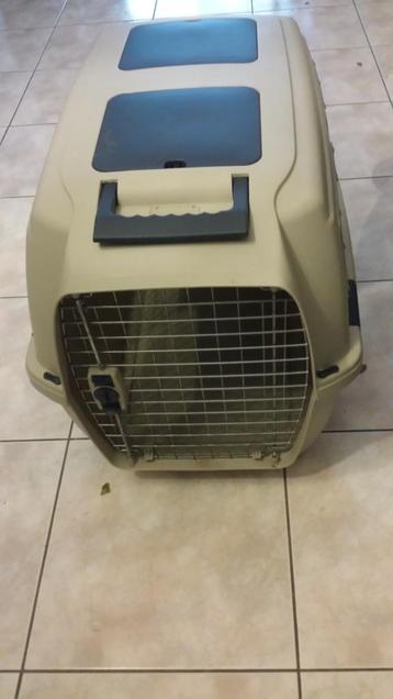 Transportbox grote kat/ kleine hond 60 hoog 80 lang 51 breed beschikbaar voor biedingen