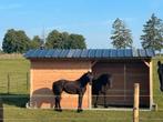 Schuilstal 3x6 + Voorwand in massief Douglashout, Weidegang, 2 of 3 paarden of pony's