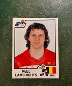 Panini plaatje Paul Lambrichts Belgie Euro 84, Ophalen of Verzenden