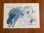 Maximumkaart postzegel Waddenzee. Ganzen. 1982., Postzegels en Munten, Postzegels | Nederland, Na 1940, Ophalen of Verzenden, Gestempeld