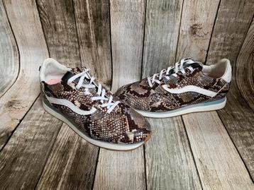 Super gave nieuwe sneakers van Floris van Bommel (Maat 37) beschikbaar voor biedingen