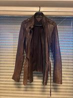 Tommy jas leder mt L, Bruin, Maat 42/44 (L), Ophalen of Verzenden, Gedragen