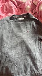 Tommy Hilfiger S, Ophalen of Verzenden