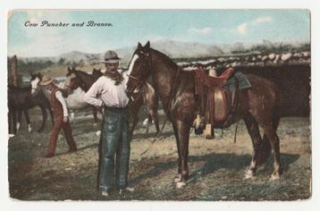 Cowboys.  1908.  U.S.A.