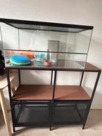 Glazen hamsterhok 40x80 incl. Kast Fjallbo, Dieren en Toebehoren, Gebruikt, Hok, Hamster, 75 tot 110 cm