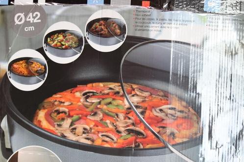 Te koop: Electrische pan met thermostaat, Huis en Inrichting, Keuken | Potten en Pannen, Zo goed als nieuw, Kookpan of Snelkookpan