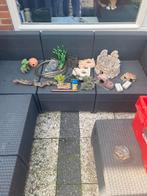 Aquarium decoratie te koop, Ophalen, Zo goed als nieuw