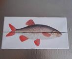 Vis op tegels, Huis en Inrichting, Woonaccessoires | Wanddecoraties, Ophalen of Verzenden, Nieuw