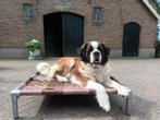 Hondenkussen ✅ hondenstretcher hondenmand bench kennel, Ophalen of Verzenden, Nieuw, 110 cm of meer, Minder dan 65 cm
