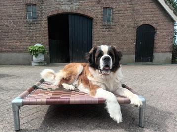Hondenkussen ✅ hondenstretcher hondenmand bench kennel  beschikbaar voor biedingen