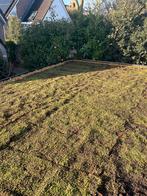 Groendak sedum dak zowel trays als matten, Ophalen of Verzenden, Nieuw, 20 m² of meer