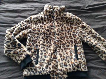 Brunotti fakefur leopard  bomberjasje draagmaat 38 beschikbaar voor biedingen