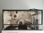 Terrarium 80x40x40, Dieren en Toebehoren, Reptielen en Amfibieën | Toebehoren, Ophalen, Gebruikt, Terrarium of Paludarium
