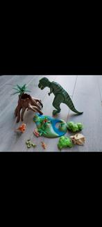 Dinosaurus playmobil, Ophalen of Verzenden, Zo goed als nieuw, Complete set