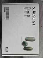 Decoratie cactus sjalsligt Ikea, Huis en Inrichting, Woonaccessoires | Overige, Ophalen of Verzenden, Nieuw