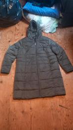 Groen winterjas dames maat 44, Ophalen of Verzenden, Zo goed als nieuw, Maat 42/44 (L), Groen