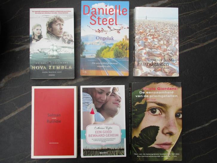 Set 6 x roman - Danielle Steel / Rushdie / Giordano /vd Meer, Boeken, Romans, Zo goed als nieuw, Nederland, Ophalen of Verzenden