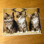 Kaart 3d dieren poezen, Ophalen of Verzenden, Nieuw, Overige thema's