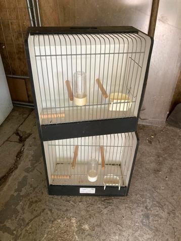 tt kooien - Vervoerskooitjes beschikbaar voor biedingen