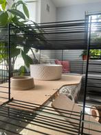 Hamsterhok met glazen onderkant inclusief accessoires, Kooi, Minder dan 75 cm, Hamster, Ophalen