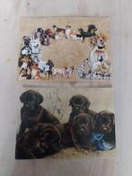 Mooie ansicht kaart met envelop 5 pups NIEUW, Ophalen of Verzenden, 1980 tot heden, Ongelopen, Hond of Kat