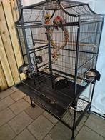 Parkieten kooi keddoc florida., Ophalen, Zo goed als nieuw, Metaal, Vogelkooi