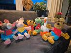 Kikker en zijn vriendjes handpoppen, Kinderen en Baby's, Speelgoed | Knuffels en Pluche, Ophalen of Verzenden, Zo goed als nieuw