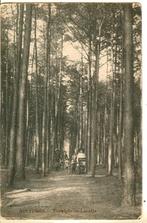 Ginneken 7 x, Verzenden, Voor 1920, Gelopen