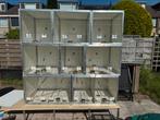 Complete kweekmuur te koop, Dieren en Toebehoren, Vogels | Hokken en Kooien, Ophalen, Zo goed als nieuw, Aluminium, Volière
