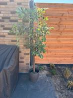 Kunst plant/boom, Tuin en Terras, Ophalen of Verzenden, Zomer, Overige soorten, Volle zon