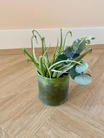 *NIEUW!* Groen vaasje met kunstplanten / kunstbloem, Loods 5, Minder dan 50 cm, Nieuw, Groen, Overige materialen