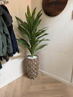 Mooi schelpenvazen, Antiek en Kunst, Antiek | Vazen, Ophalen of Verzenden