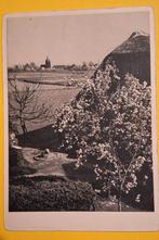 Martien Coppens. Provinciaal anjerfonds., Verzamelen, Ophalen of Verzenden, Noord-Brabant