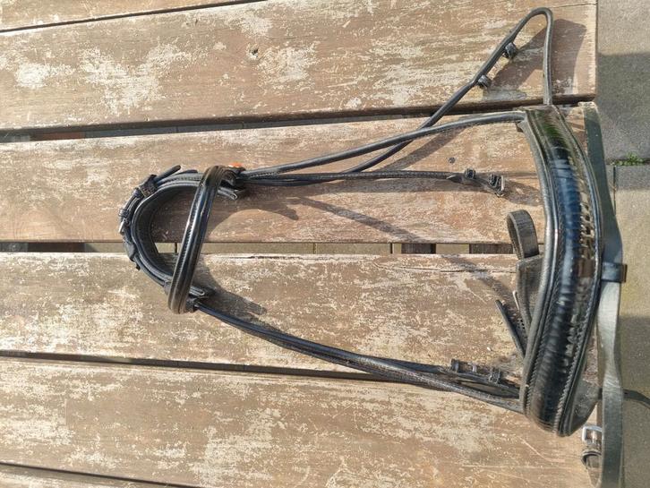 Rondgenaaid hoofdstel met lak, Dieren en Toebehoren, Paarden en Pony's | Hoofdstellen en Tuigage, Zo goed als nieuw, Dressuur