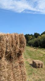 Hooi (pakjes) 2025 te koop, Dieren en Toebehoren, Dierenvoeding, Ophalen, Vee