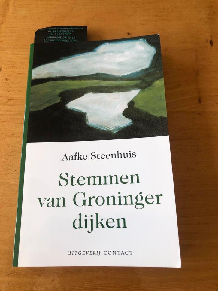 Stemmen van Groninger dijken - Aafke Steenhuis (Gesigneerd), Boeken, Streekboeken en Streekromans, Zo goed als nieuw, Groningen