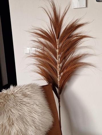 Cognac Pluim Zeegras - 140cm beschikbaar voor biedingen
