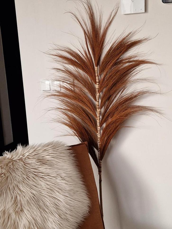 Cognac Pluim Zeegras - 140cm, Huis en Inrichting, Woonaccessoires | Droogbloemen, Zo goed als nieuw, Ophalen