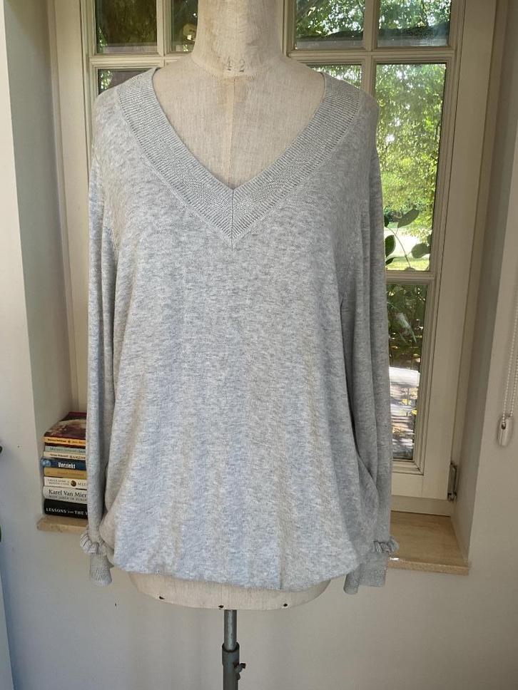 Trui van Green Ice , maat XXL, Kleding | Dames, Truien en Vesten, Gedragen, Grijs, Ophalen of Verzenden