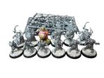 Warhammer Blood Bowl Nurgles Rotters, Hobby en Vrije tijd, Wargaming, ., Warhammer, Ophalen of Verzenden, Zo goed als nieuw